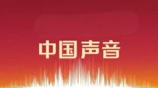 《中国声音》 作者：碑林路人