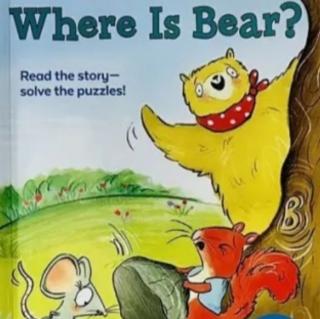 Where is bear ?