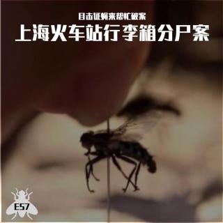 E57 目击证蝇来帮忙破案：上海火车站行李箱分尸案