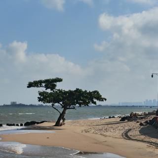 《天净沙，秋思》