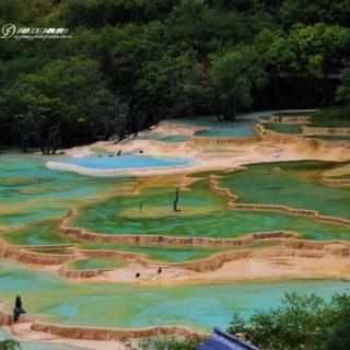 杨稳定《龙岁寻梦，情醉黄龙》