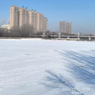 寒雪《浪淘沙·冬情》