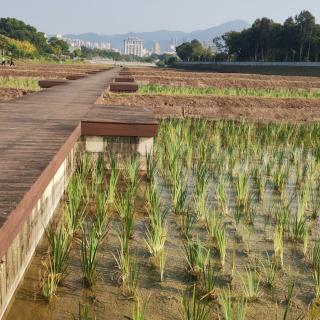 1712.田野~王计兵