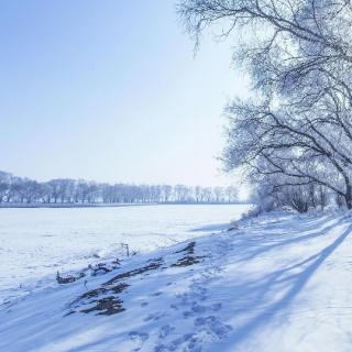 雪恋