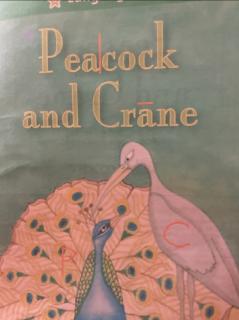 Peacock and Crane