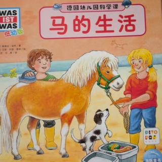 米粒儿读绘本-🐎马的生活