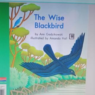 The wise black bird