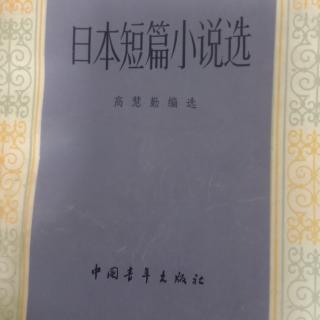 小说《斗牛》71井上靖