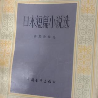 小说《斗牛》73井上靖