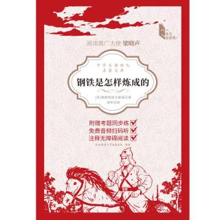 钢铁是怎样炼成的-106集