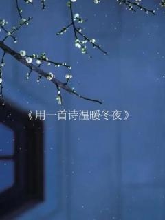 《用一首诗温暖冬夜》 作者：碑林路人 