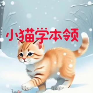 小猫学本领