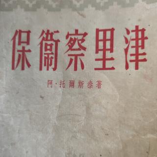 小说《保卫察里津》10