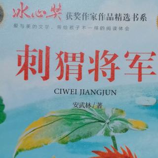 刺猬将军（2）这个世界究竟发生了什么事