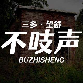 EP20.呼城疑云-一案两凶