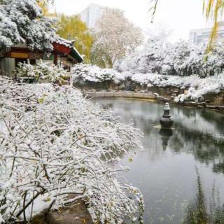 《济南的冬天》老舍‖朗诵:心轻草香