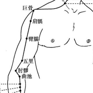 手阳明大肠经穴位分寸歌