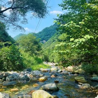 后记《我走过的路通往山野》