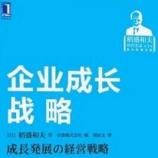 《企业成长战略》—拓展海外业务案例二