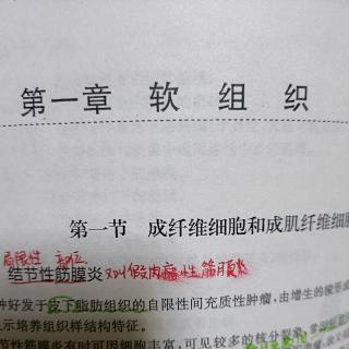 九、孤立性纤维性肿瘤