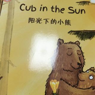 绘本ﾉ☀cub in the sun