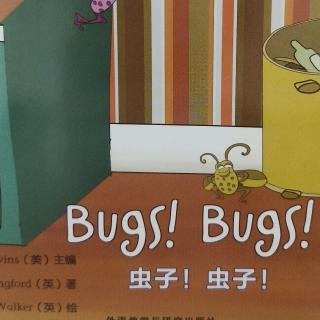 绘本阅读📖bugs bugs