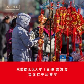 Vol.280 东西南北说大年|史妍 普洱猫：我在辽宁过春节