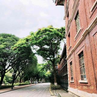 📱旅行日记本013｜参观厦门大学✘骑行五缘湾海滩湿地公园，手机