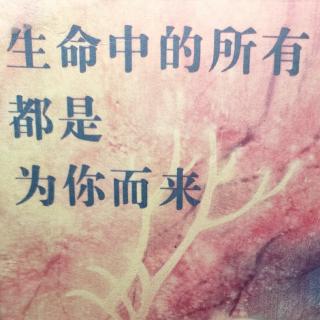 第六章  接纳的力量（3）