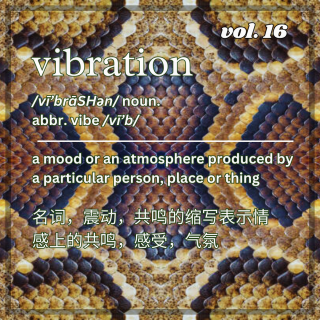 「VIBRATION」 VOL.16 𝔖𝓃𝒶𝓀ℯ𝔖𝓀𝒾𝓃 MIX