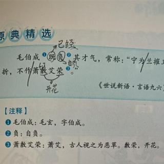 22.《宁为兰摧玉折——毛玄的故事》陈煜