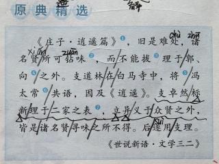 26.妙解《逍遥游》——支遁的故事  陈语乐