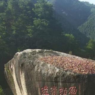 雨的四季     劉湛秋