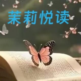 读文案