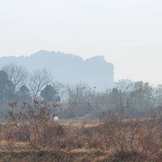 象山诗社同题诗《那远山》