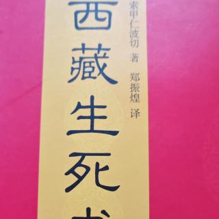 《西藏生死书》第六章演化、业与轮回