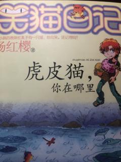 虎皮猫，你在哪里：为了雪儿去战斗