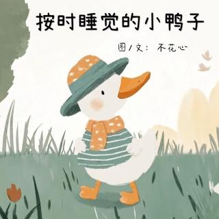 按时睡觉的小鸭子