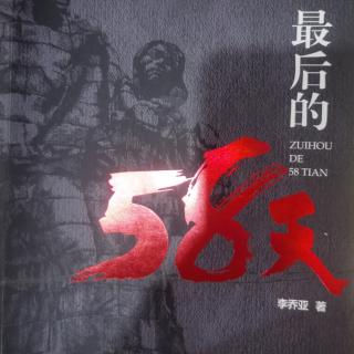 长篇小说：最后的58天 （故事概要）