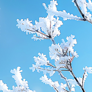 《雪》鲁迅