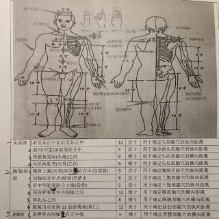 针灸取穴-3.背腰部-1