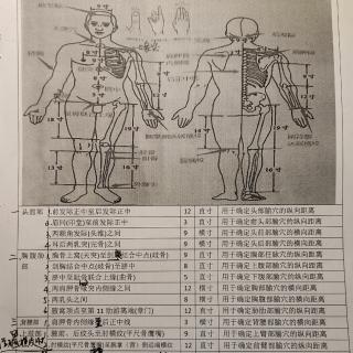 针灸取穴-2.上肢部-3