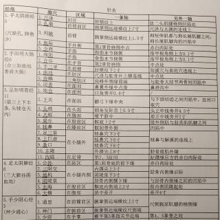 针灸-定位-1肺经5-2.孔最