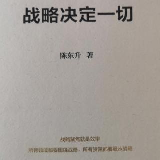 《战略决定一切》自序一