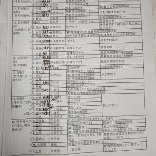 针灸-定位-14奇穴7-6.内膝眼