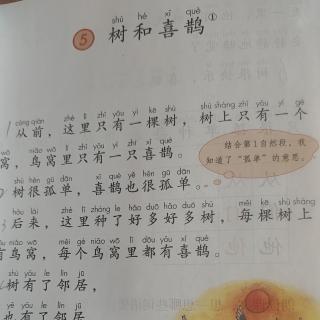 《树和喜鹊》课文生字