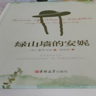 《绿山墙的安妮》第九章雷切尔吓得不轻。第十章安妮的道歉