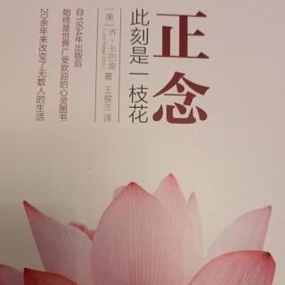 正念此刻是一枝花——黎明即醒