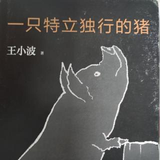 《一只特立独行的猪》