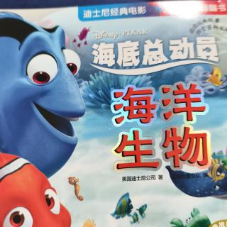 海底总动员.海洋生物